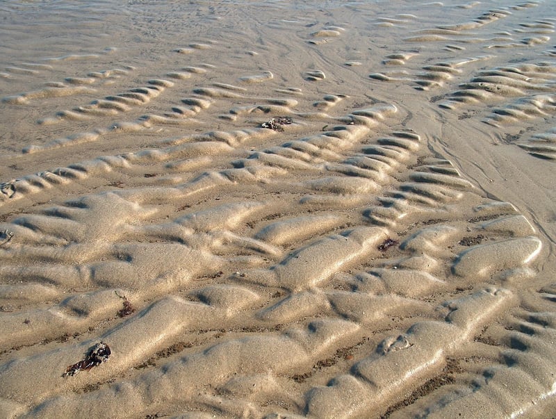 Exploring New Flavors